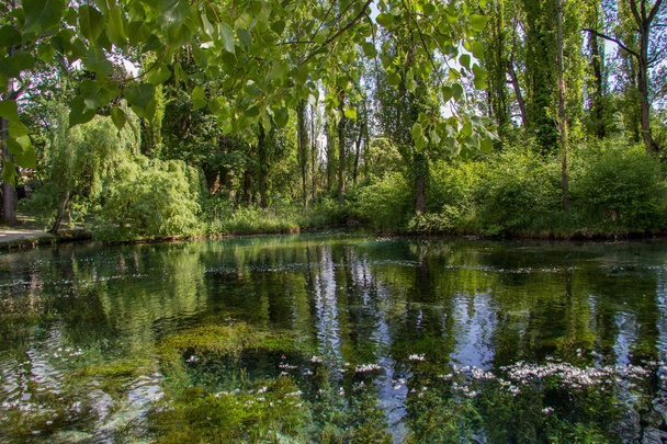 Clitumnus river spring in Umbria, Italy  - Photo, Image