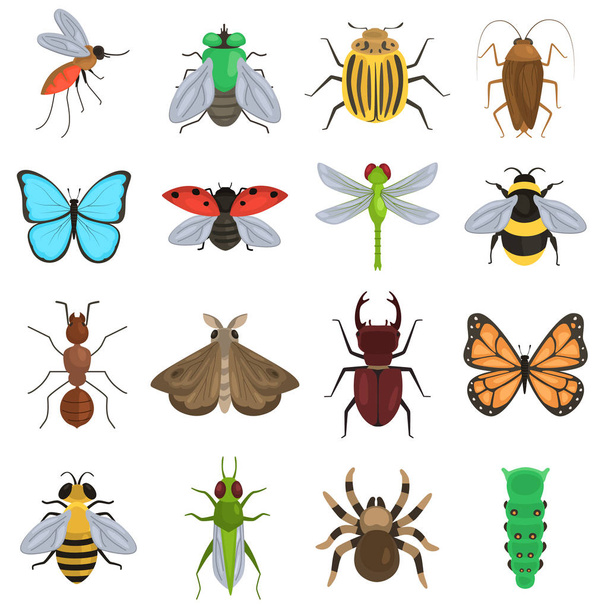 Set of different insects color flat icons - Wektor, obraz