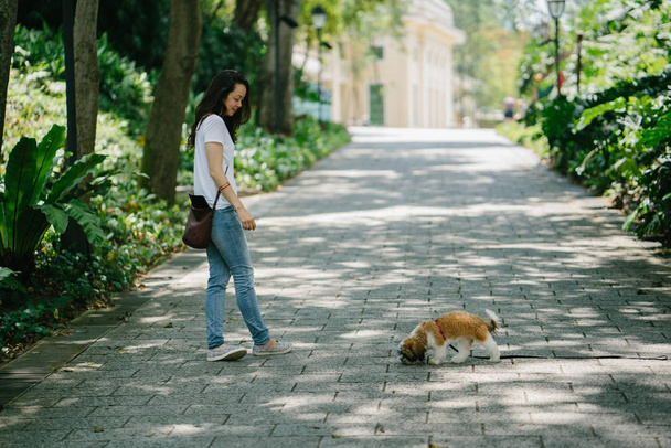 Portrait of a young Pan Asian woman with dog in a green park on a warm day in the park. The dog is a toy breed shih tzuh. - Photo, image