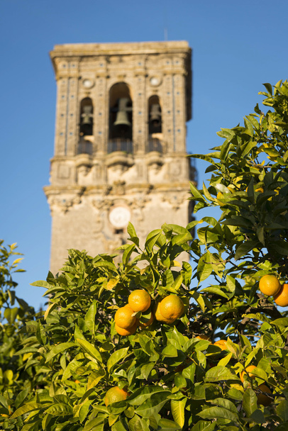 španělské pomeranče a zvonice - Fotografie, Obrázek