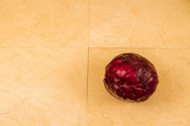 Red cabbage on tiles copyspace. - Photo, Image