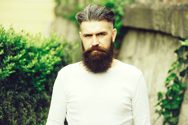 Stylish bearded man outdoor - Foto, afbeelding