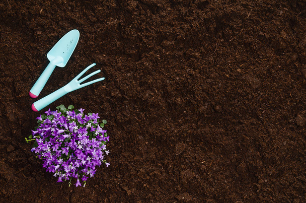 Gardening tools on garden soil texture background top view - Fotografie, Obrázek