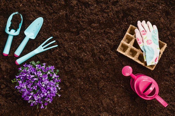 Gardening tools on garden soil texture background top view - Foto, Bild
