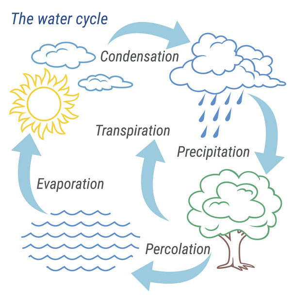 Línea de ciclo de agua
 - Vector, Imagen