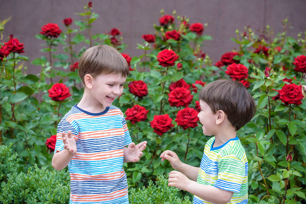 Twee schattige broers kids jongens buiten samenspelen - Foto, afbeelding