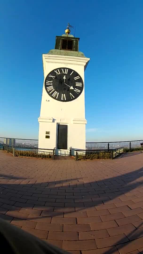 De klokkentoren op het fort en de boom zonder bladeren in de herfst dag in Servië, stad van Petrovaradin - Novi Sad. - Video