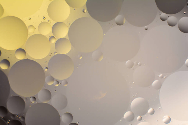 mixing water and oil, beautiful color abstract background based on circles and ovals - Foto, Bild