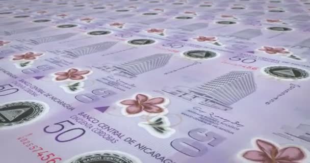 Banknotes of fifty nicaraguan cordoba of Nicaragua, cash money, loop - Footage, Video