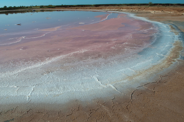 Pilar de sal en el lago
 - Foto, imagen