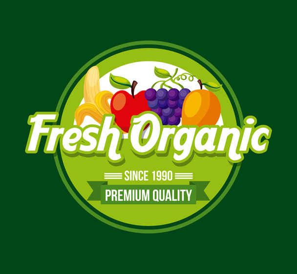 зображення здорових органічних вегетаріанських продуктів
 - Вектор, зображення