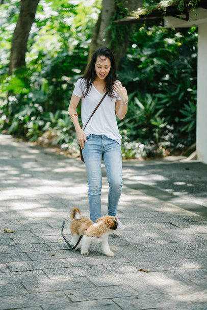 Pan Asian woman walks her shih tzuh puppy dog in the streets on a sunny day on the weekend in Asia. - Фото, зображення