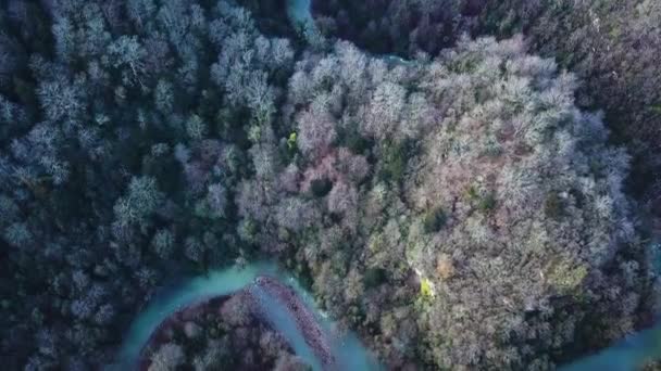 Blick von oben auf gewundenen Fluss und Berg. Clip. Luftaufnahme eines Fluges über den schönen Gebirgsfluss und den schönen Wald. Luftaufnahme. Landschaftspanorama. Flug über den Gebirgsfluss - Filmmaterial, Video
