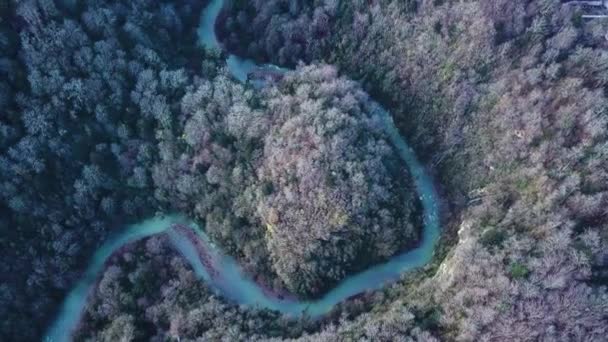 青山川の空撮。曲がりくねった川、驚くほどの風景。グリーン リバー バレー キャニオン ワイド夏パノラマ高山山の風景 - 映像、動画