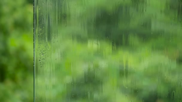 Damla yağmur akış karşı sulu yeşil cam yüzeyi aşağı - Video, Çekim