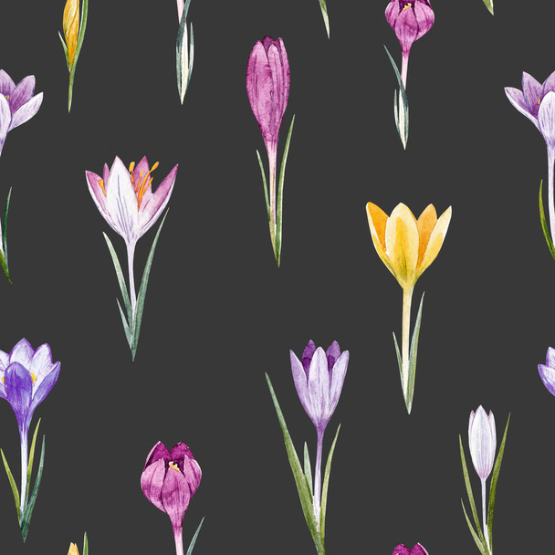 Watercolor crocus floral pattern - Foto, afbeelding
