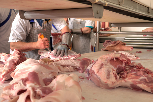 indústria alimentar de carne de porco
 - Foto, Imagem