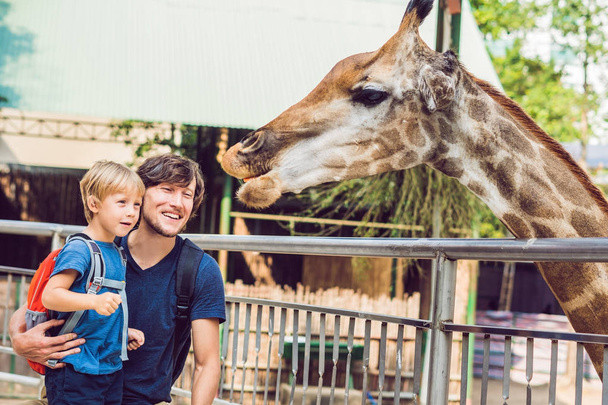 Isä ja poika vahtivat ja ruokkivat kirahvia eläintarhassa. Onnellinen lapsi hauskaa eläinten safari puistossa lämpimänä kesäpäivänä
. - Valokuva, kuva