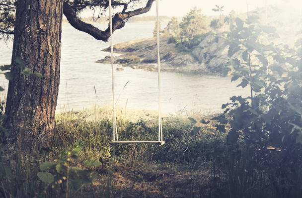 A home made swing hanging from a tree next to a lake - Photo, Image