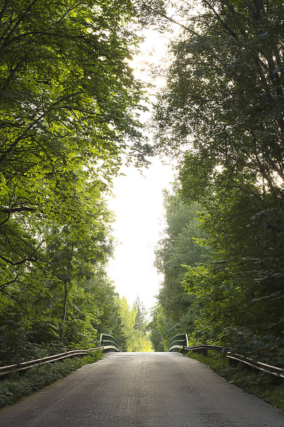 kleine Straße inmitten eines Waldes. Sommerthema. - Foto, Bild
