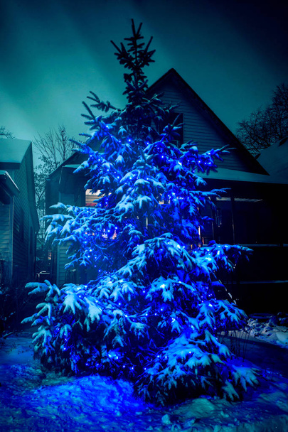 Árvore de Natal ao ar livre com luzes azuis
 - Foto, Imagem