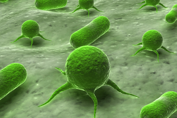 Vírus és baktérium - Fotó, kép