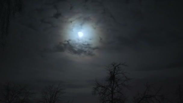 telihold az éjszakai égen a felhők mögött - Felvétel, videó