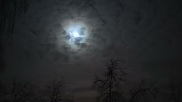 volle maan in de nachtelijke hemel achter de wolken - Video