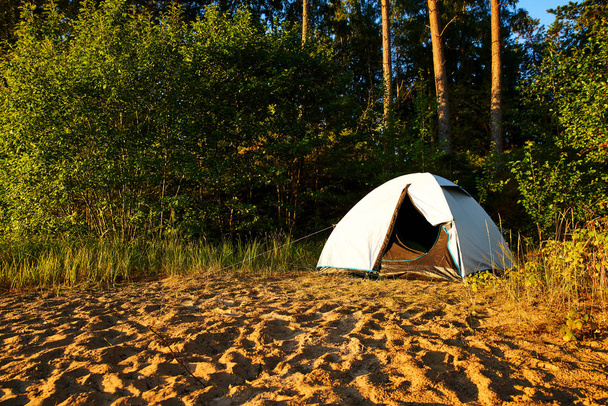 Vertical image of a white tent standing at the beach and gets illuminated  from the rising sun. It is summer at lake Vanern Sweden. The campsite is surrounded by forest and big green trees.  - Photo, Image