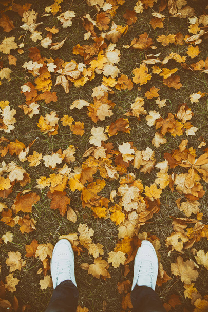  εικόνα από τα πόδια στο λευκό μπότες για το φθινόπωρο φύλλα - Φωτογραφία, εικόνα