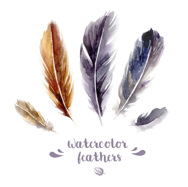 Watercolor feathers on white background - Photo, Image