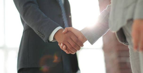 Business people shaking hands isolated on white background - Foto, Imagem