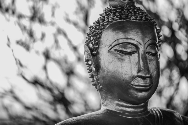 Статуя Будди на чорно-білому
. - Фото, зображення