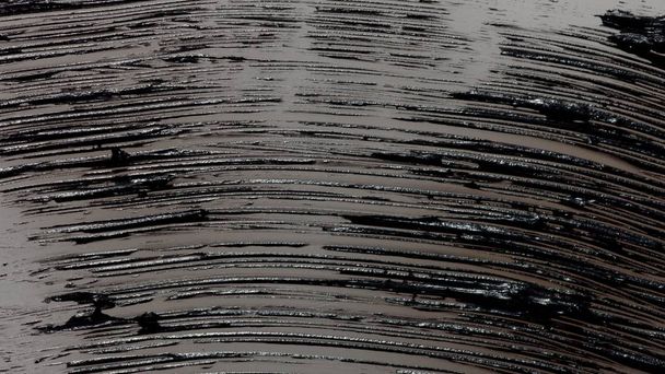 Fekete szempillaspirál ecsetvonások, fehér - Fotó, kép
