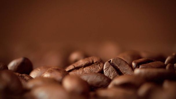 macro de granos de café
 - Foto, Imagen