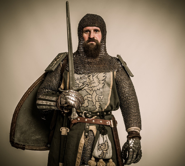 Medieval knight - Fotografie, Obrázek