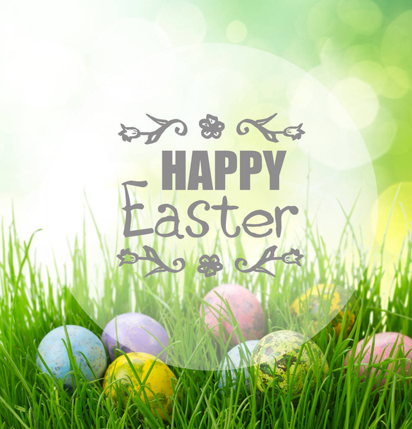 Easter eggs in grass  - Фото, зображення