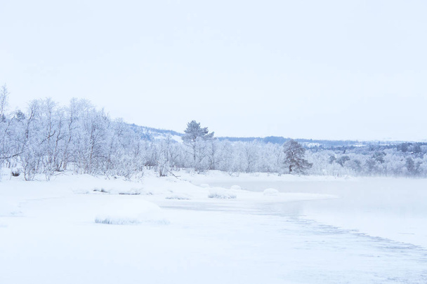 Bellissimo fiume ghiacciato con alberi su una riva. Bianco paesaggio invernale della Norvegia centrale. Scenario luminoso
. - Foto, immagini