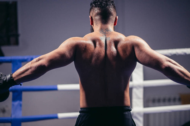 Rear view of male boxer standing looking away. Fit man wearing boxing gloves - 写真・画像