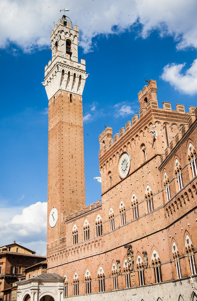 Siena - palazzo comunale, Itálie - Fotografie, Obrázek