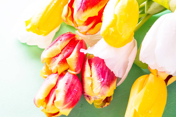 Bouquet de fleurs de tulipe gros plan
. - Photo, image