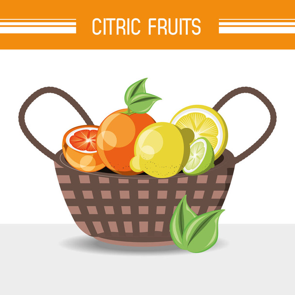 návrh citronovou ovoce  - Vektor, obrázek