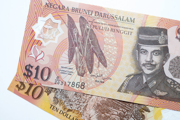 Gedetailleerde van Brunei bankbiljetten op witte achtergrond. - Foto, afbeelding