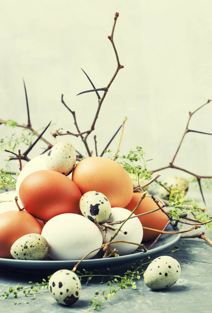 Easter spring composition with colorful chicken and quail eggs, gray background, selective focus - Valokuva, kuva