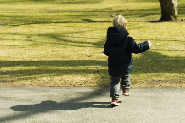 Güneşli park kaçak yürümeye başlayan çocuk. Vahşi squirell yakalamaya çalışan çocuk - Fotoğraf, Görsel