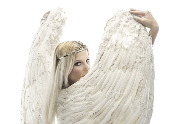 スタジオで座っている大きな天使の翼を持つ美しい若いモデル。白背景 - 写真・画像