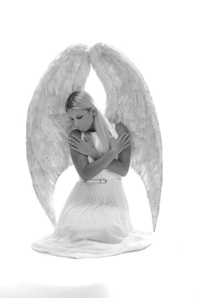 красивая молодая модель с большими крыльями ангела сидит в студии. белый фон
 - Фото, изображение