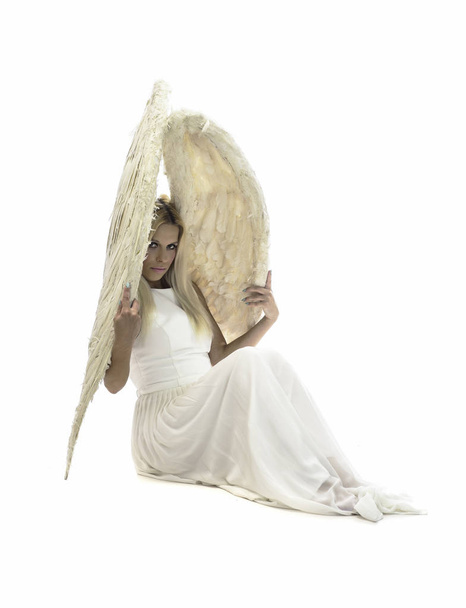 hermosa joven modelo con grandes alas de ángel sentado en el estudio. fondo blanco
 - Foto, Imagen