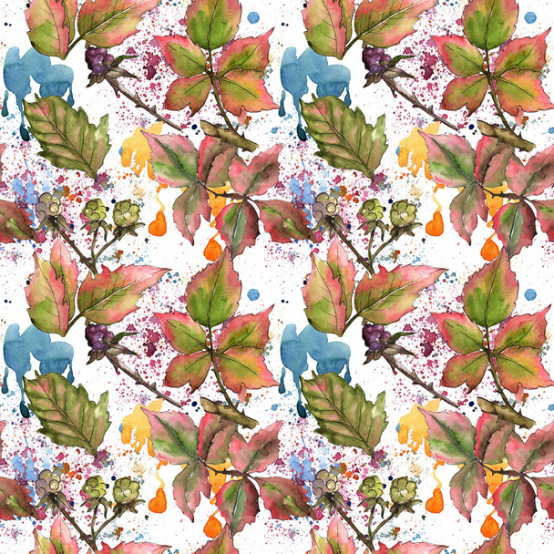 Blackberry leaves pattern in a watercolor style. - Foto, Imagen