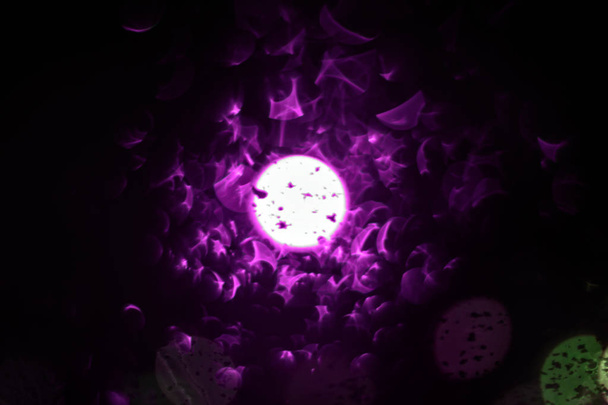 Abstraktní rozmazané ultrafialové světlo bokeh - Fotografie, Obrázek